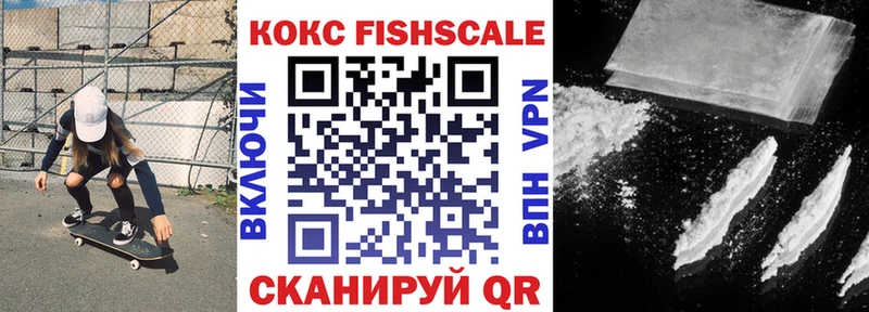Cocaine FishScale  где купить наркотик  Ядрин 
