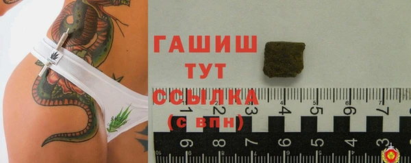 прущий лед Абаза